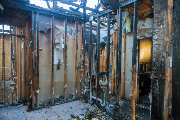 Professional Fire Damage Removal technician working in Austin, MN